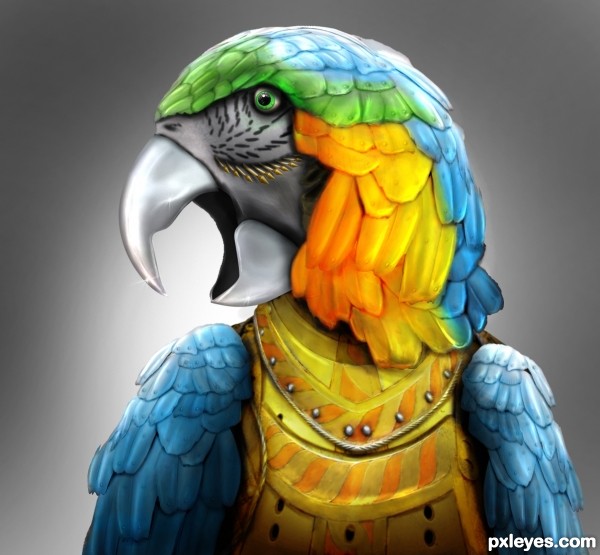 Parrot