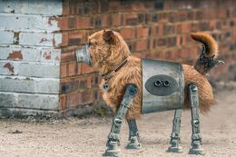 RoboPup