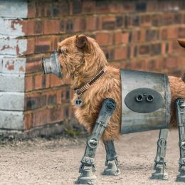 RoboPup