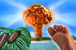 Cockroach/Nuke/Foot