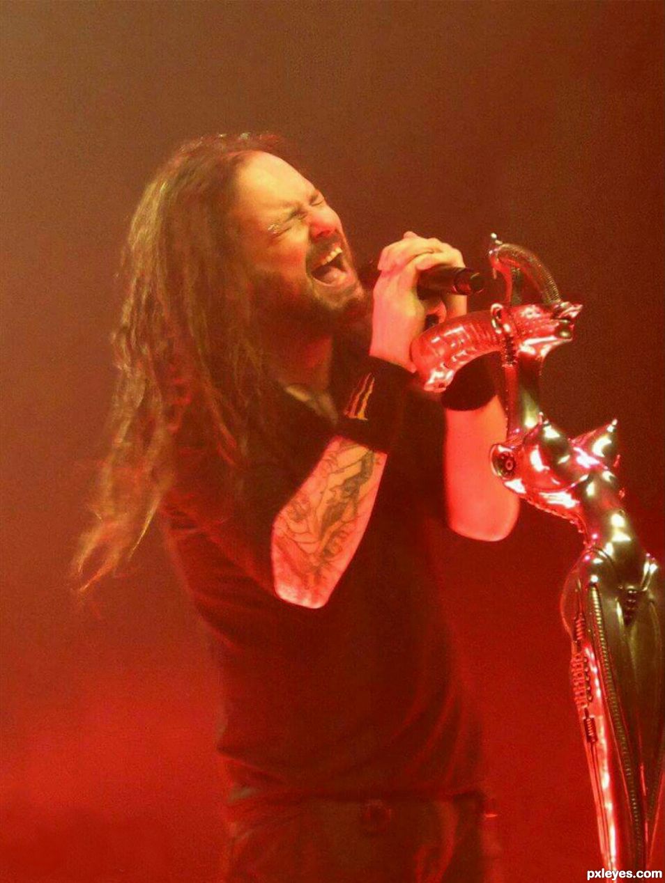 Jonathan Davis rocking it out on stage!