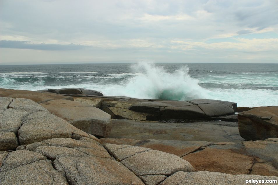 Rock - Peggys Cove