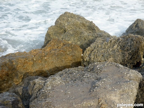 A Rocky View