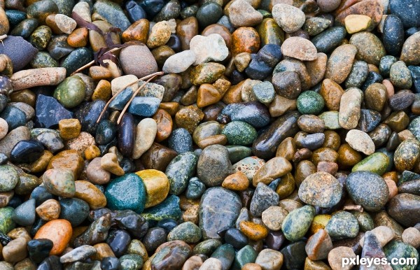wet pebbles
