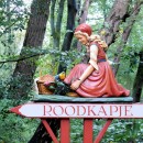 roodkapje source image