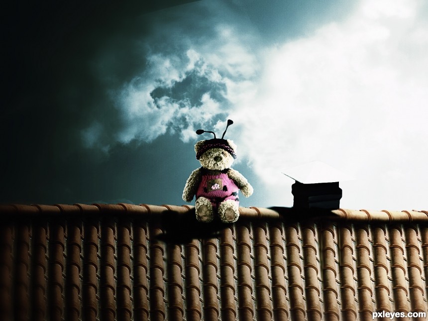 poo on the roof photoshop picture)