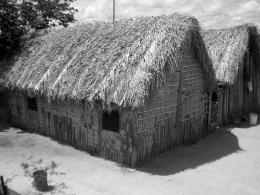 THEHOUSE