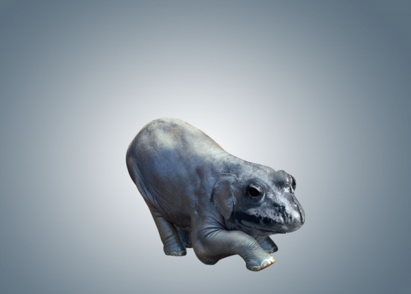 Creation of forrest creature: Step 1
