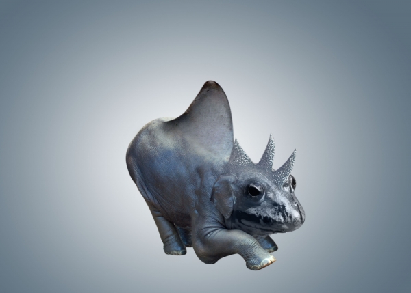 Creation of forrest creature: Step 2