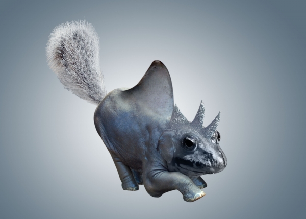 Creation of forrest creature: Step 3