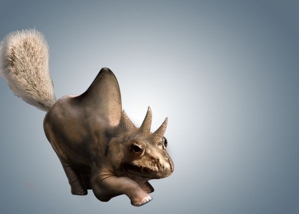 Creation of forrest creature: Step 4
