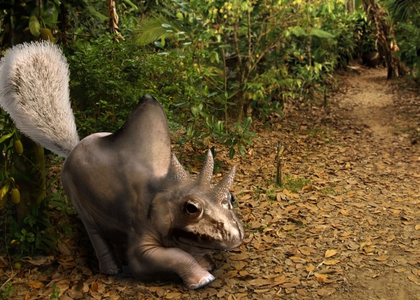 Creation of forrest creature: Step 5