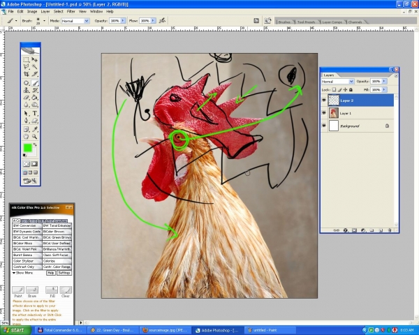 Creation of Nemo... part 2 :): Step 1