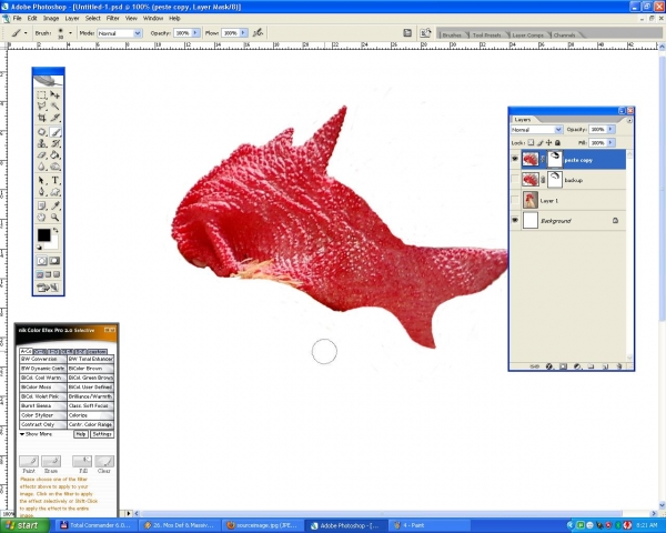 Creation of Nemo... part 2 :): Step 5