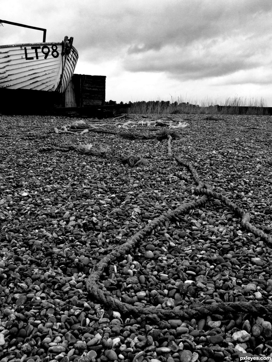 Discarded Rope