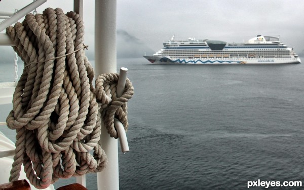 Cruising the fjords