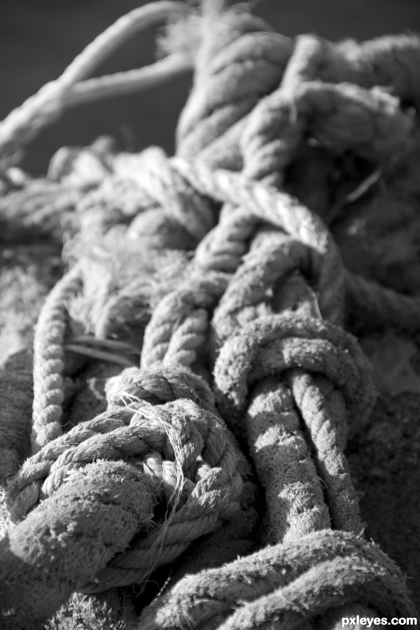 Knots