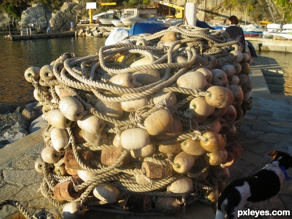 fishing nets