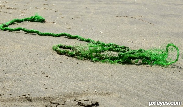 on the beach