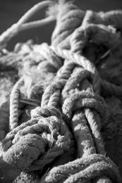 Knots