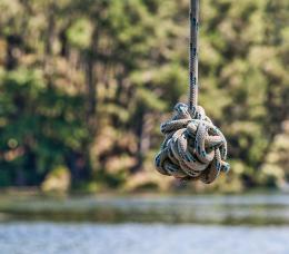 Rope Swing