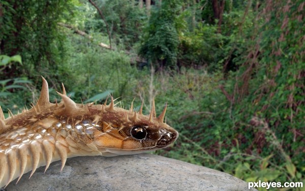 Spiny snake