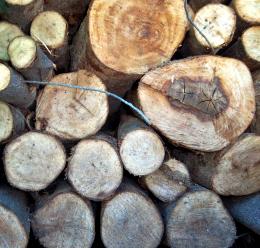Round the Wood Pile