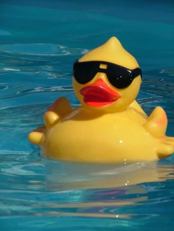 cool rubber duckies