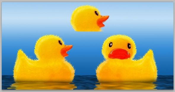 Creation of Two Little Wise Quackers: Step 17