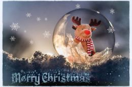 Merry Christmas