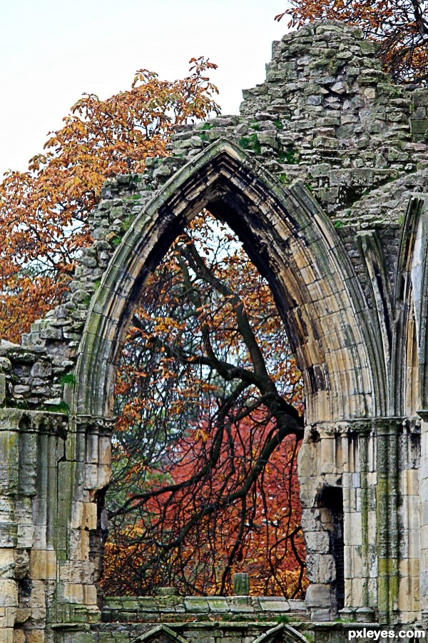 Ruins of Window