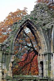 Ruins of Window