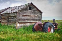 put out to pasture