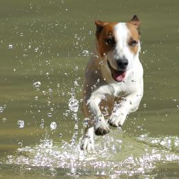 Running on water