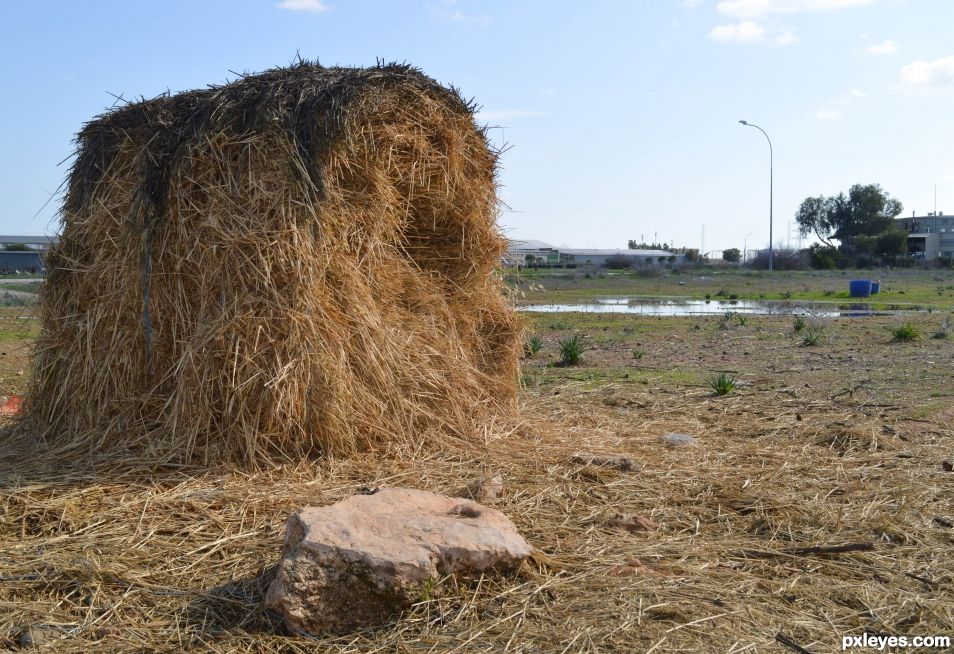 Farm site