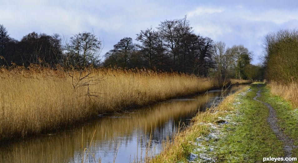 Rural stream