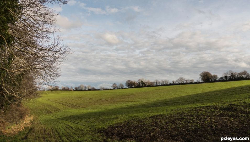 Further away in the fields