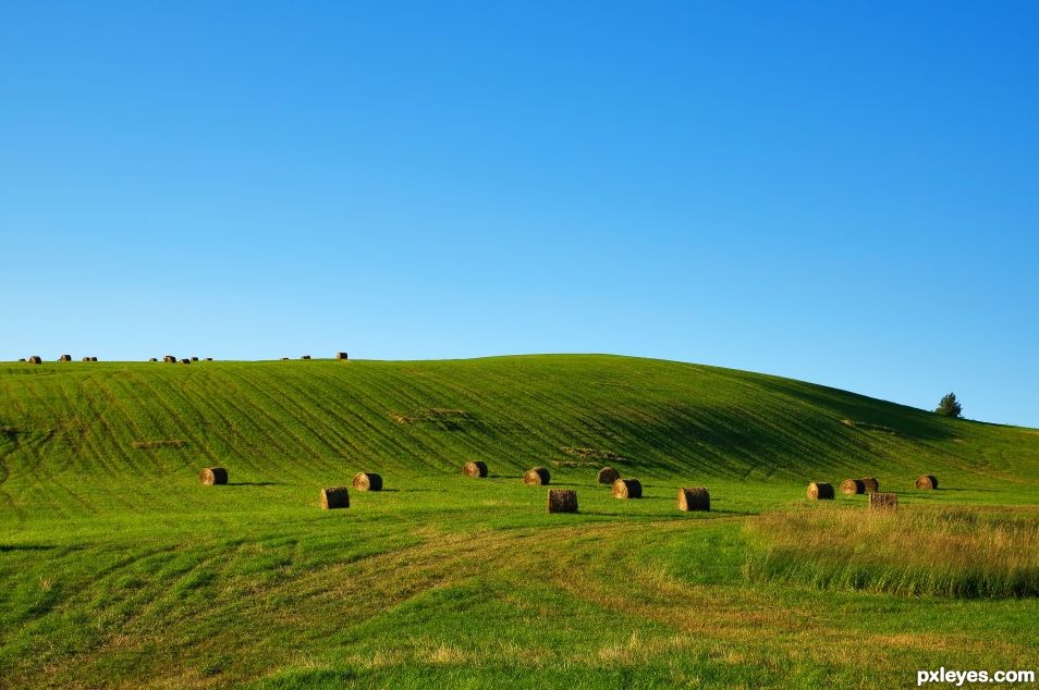 Hay Time