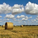 rural panorama photography contest