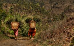 Rural Twins