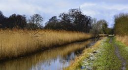 Rural stream