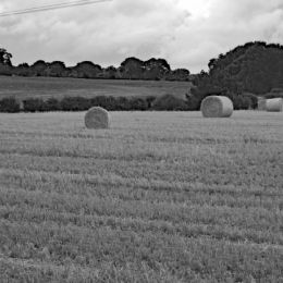 Haystacks