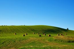 Hay Time