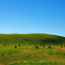 HayTime