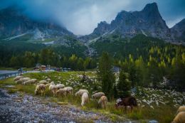 Dolomites