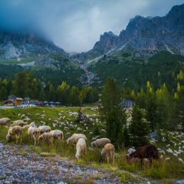 Dolomites