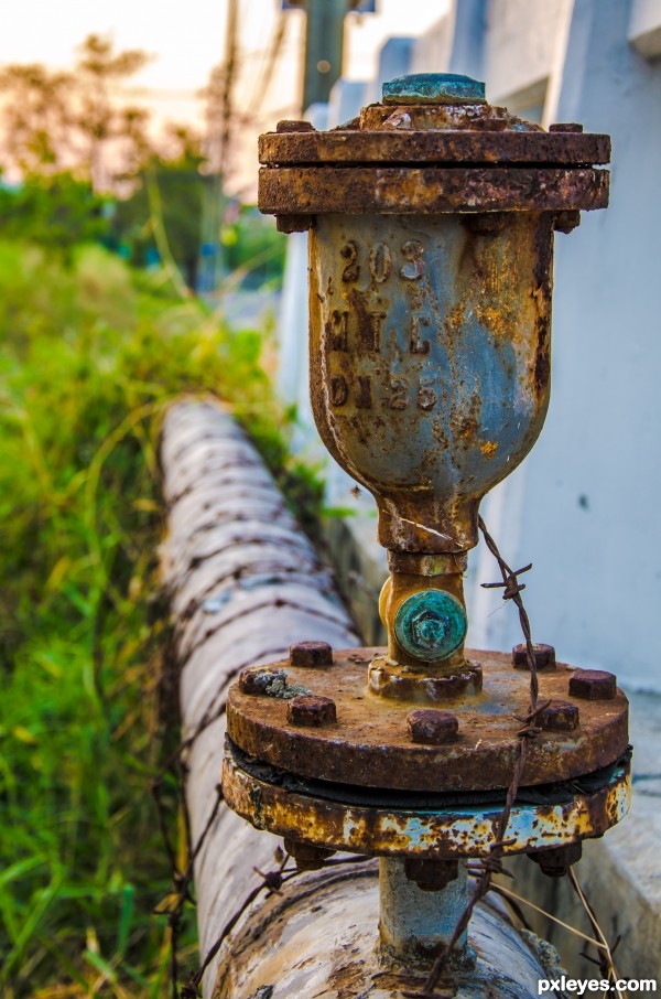 Rusty gate bulb