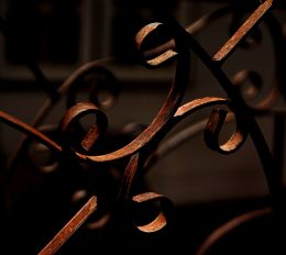 Rusty Curls