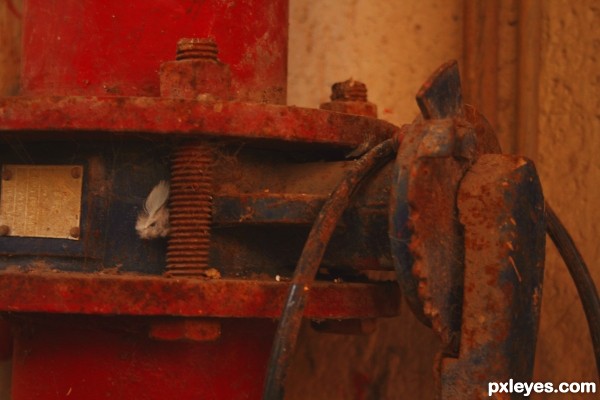 rusted waterpipe