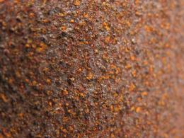 Closeup rust